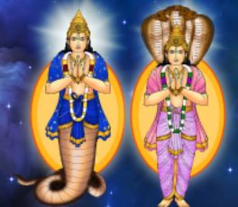 Rahu Ketu Transit Report